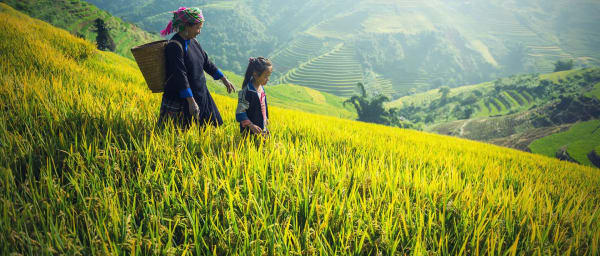 2-Day Batad Village Nature Tour with Rice Terraces and Bonfire