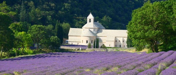 8-Hour Luberon Lavender Tour from Aix-en-Provence with Local Expert