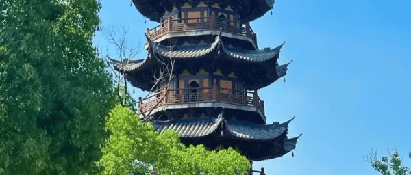 8-Hour Shanghai Taoism and Zen Tour with Temple Arts and Lunch