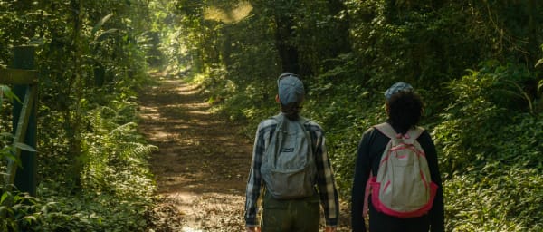 6-Hour Hiking Tour in Iguaçu National Park on the Poço Preto Trail