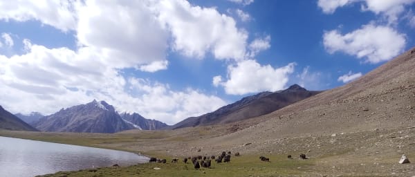 16-Day Shimshal Valley Trek in Pakistan with Shimshal Pass Adventure