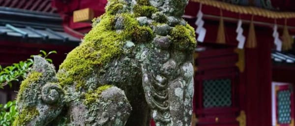10-Hour Nikko Cultural and Natural Wonders Tour from Tokyo