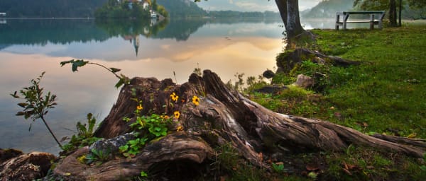 8-Hour Lake Bled and Ljubljana Tour from Trieste with Old City Walk