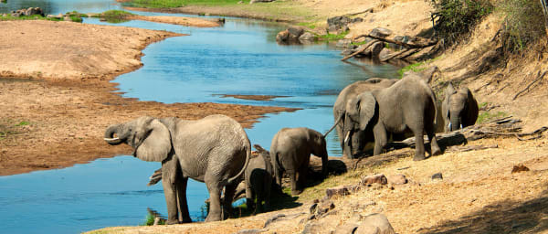3-Day Lake Manyara, Tarangire and Ngorongoro Crater Safari