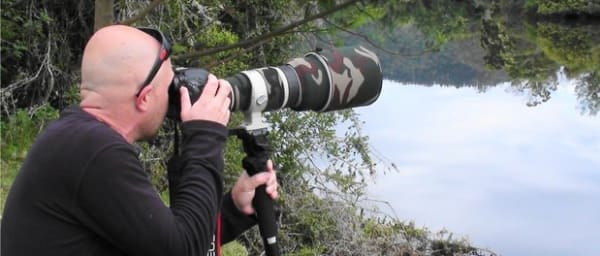 4-Hour Plettenberg Bay Game Reserve Tour with Birdwatching