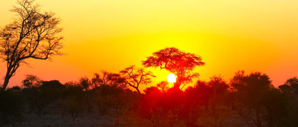 22-Day Zimbabwe Wildlife and Heritage Tour with Victoria Falls