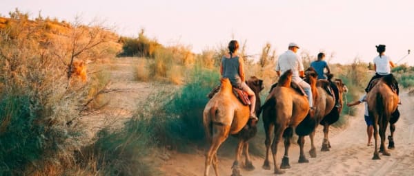 2-Day Bukhara to Samarkand Tour with Nurata and Yurt Camp
