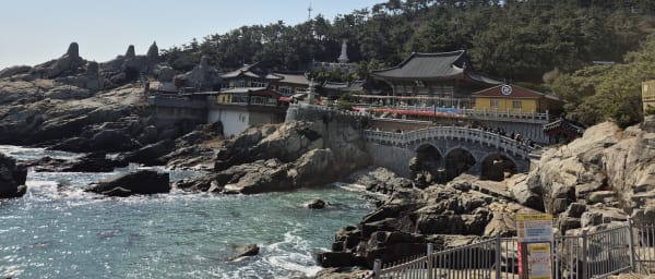 Full-Day Busan Culture Tour with Coastal Temple and Market Walks