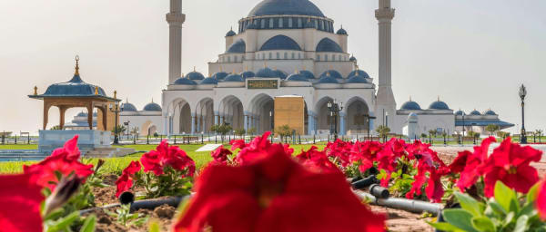 Full-Day Sharjah City Tour from Dubai with Cultural Highlights