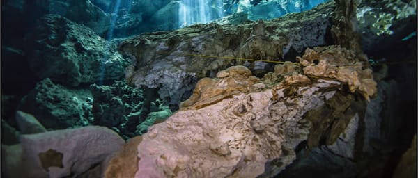 5-Hour Cenote Snorkelling Tour in Playa del Carmen
