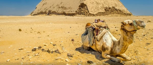 8-Hour Private Pyramids Tour from Luxor with Sakkara and Memphis