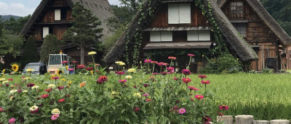 10-Hour Takayama and Shirakawa-go Tour from Nagoya Station