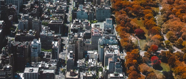 3-Hour New York City Walking Tour with Hidden Gems and Local Insights