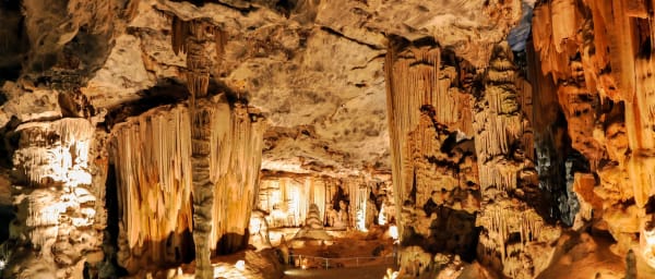 9-Hour Oudtshoorn Highlights Tour from George via Outeniqua Pass