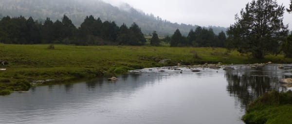 7-Day Druk Path Trek from Paro to Thimphu via Phajoding