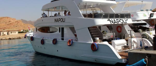 7-Hour Snorkelling Tour in Sharm el-Sheikh with Tiran and Ras Mohamed