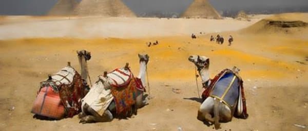 Tour de 4 horas por las Pirámides de Guiza con paseo en camello