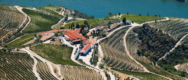 8-Hour Douro Valley Tour from Porto with Amarante and Pinhão
