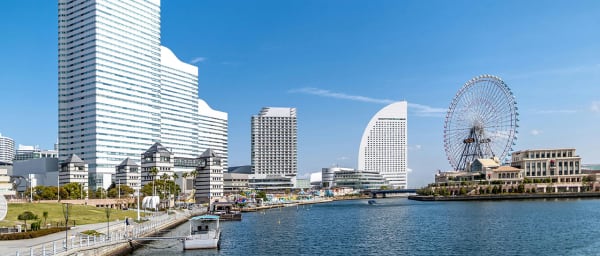 4-Hour Yokohama Tour with Sankeien Garden and Chinatown