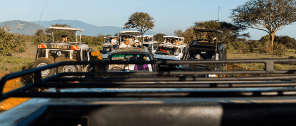 5-Day Masai Mara, Lake Nakuru and Naivasha Safari from Nairobi