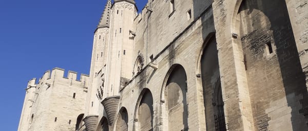 2-Hour Avignon Walking Tour with the Popes' Palace Visit