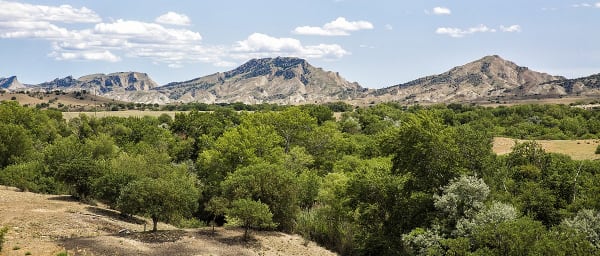 3-Day Vashlovani Hiking Tour from Tbilisi with Eagle's Canyon