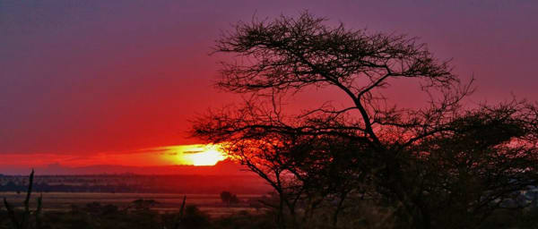 3-Day Serengeti and Ngorongoro Safari with Camping from Arusha