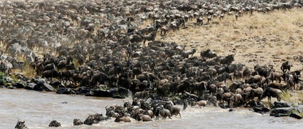 4-Day Masai Mara Wildlife Safari from Nairobi with Mara River Game Drives