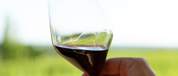 2-Day Thracian Wine Tour from Sofia to Plovdiv with 4 Cellars
