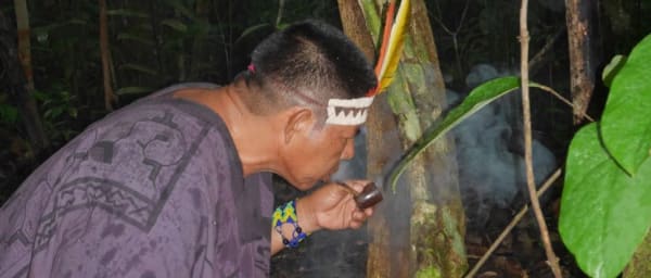 5-Day Ayahuasca Retreat in Iquitos with Jungle Rituals and Dolphins