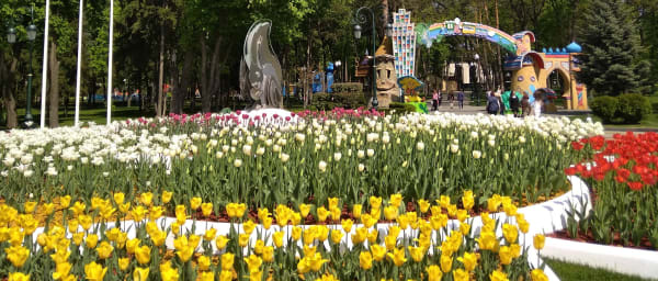 1-Day Kharkiv Sightseeing Tour with Freedom Square and Gorky Park