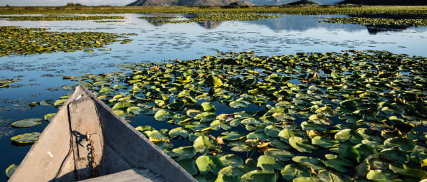 6-Hour Lake Skadar Boat Tour from Podgorica with Authentic Lunch