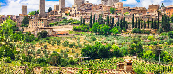 2-Hour San Gimignano Walking Tour with Cathedral and Wine Museum