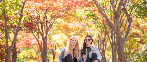 10-Hour Nami Island Tour with Petite France and Photographer Guide