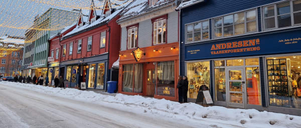 3-Hour Tromsø City Tour with Hidden Gems and Arctic Landmarks