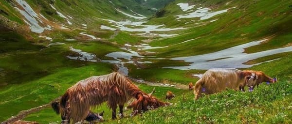 7-Day Fairy Meadows and Naran Tour from Islamabad with Camping