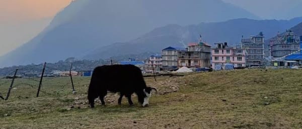 10-Day Langtang Valley Trek in Nepal with Tserko Ri and Kyanjin Gompa