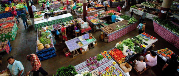 4-Hour Nadi Sightseeing Tour with Viseisei Village and Sabeto Option