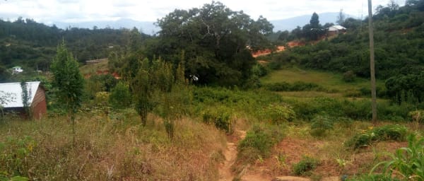 2-Day Trekking and Safari in Taita Hills with Sagalla Hills Hike