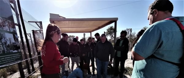 3-Day Wildlife and Wine Tour of Hermanus, Gansbaai and Grabouw