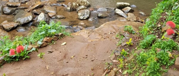 6-Hour Choma Waterfall Hike in Morogoro with Waluguru Village Life