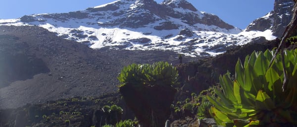 5-Day Mount Kenya Trek from Nairobi via Lenana Peak