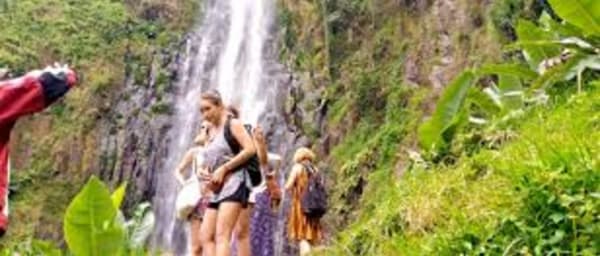 Full-Day Materuni Waterfall and Coffee Tour from Moshi