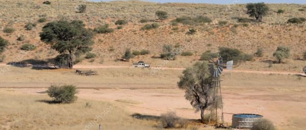 7-Day Kgalagadi Safari from Upington with Desert Lion Tracking