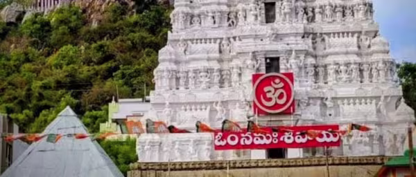12-Hour Chennai to Sri Kalahasthi Temple Tour with Rahu-Ketu Pooja