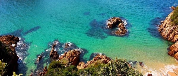 5-Day Cape Peninsula and Garden Route Tour with Safari and Cango Caves