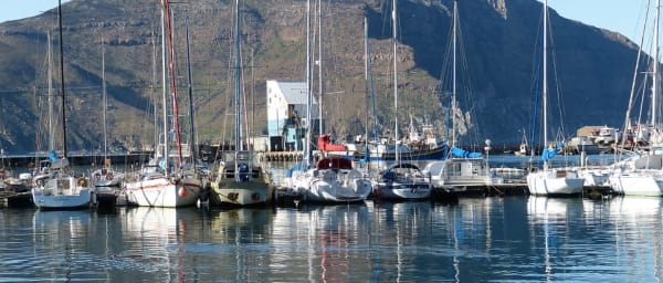 1-Day Cape Peninsula Tour with Chapman's Peak and Kirstenbosch