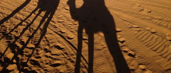 1-Day Camel Ride and Sahara Camping in Merzouga with Sunrise