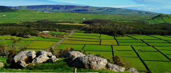 7-Hour Terceira Island Volcano Tour with Cheese Factory Visit