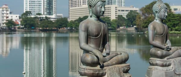 11-Day Sri Lanka Heritage and Safari Tour with Scenic Train Ride